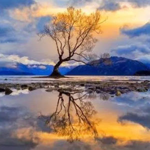 Meet your Posher, Karen butrim